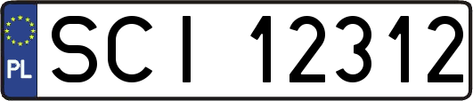 SCI12312