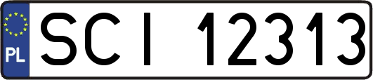 SCI12313
