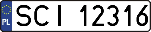 SCI12316