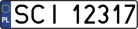 SCI12317