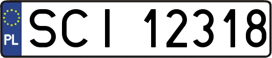 SCI12318
