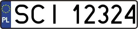 SCI12324