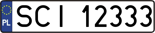 SCI12333