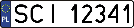 SCI12341