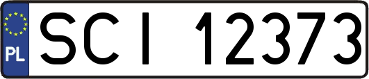 SCI12373