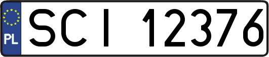 SCI12376