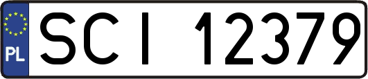 SCI12379