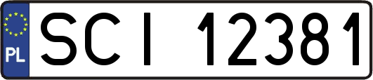 SCI12381