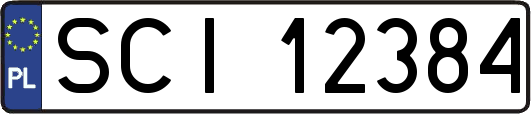 SCI12384