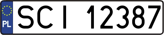 SCI12387