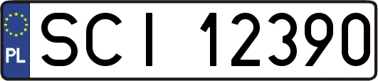 SCI12390