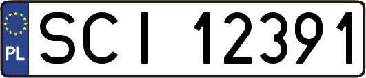 SCI12391