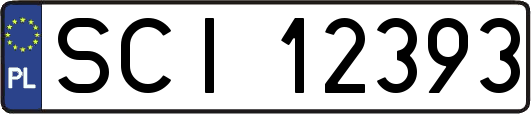 SCI12393