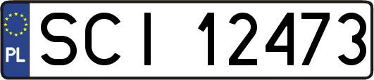 SCI12473