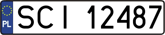 SCI12487