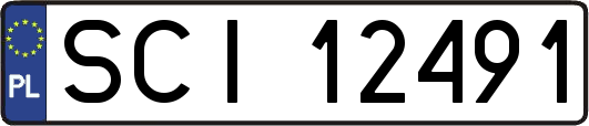 SCI12491
