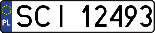 SCI12493