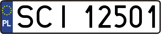 SCI12501