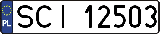 SCI12503