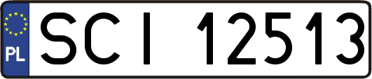 SCI12513