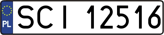 SCI12516