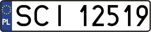 SCI12519