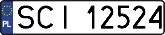 SCI12524
