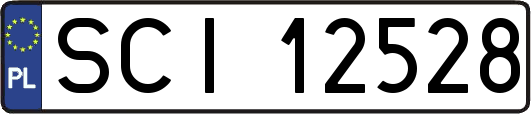 SCI12528