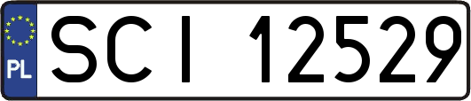 SCI12529