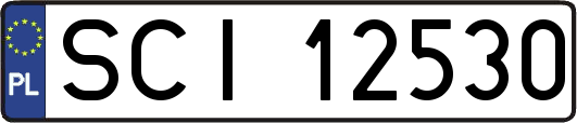 SCI12530