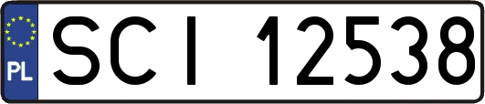 SCI12538