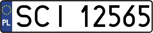 SCI12565