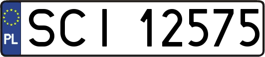 SCI12575