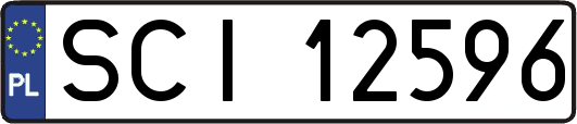 SCI12596