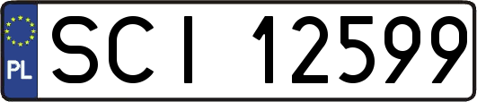 SCI12599