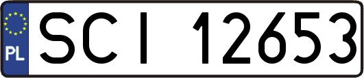 SCI12653