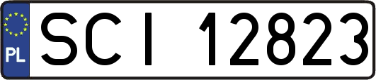 SCI12823