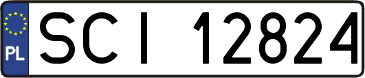 SCI12824