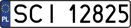 SCI12825
