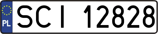SCI12828