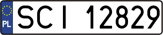 SCI12829