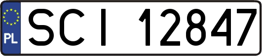 SCI12847