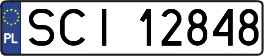 SCI12848