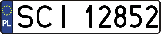 SCI12852
