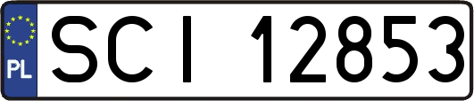 SCI12853