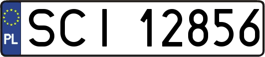 SCI12856
