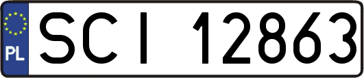 SCI12863