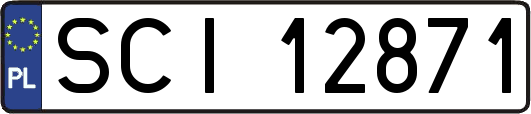 SCI12871