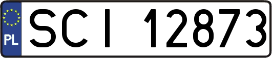 SCI12873