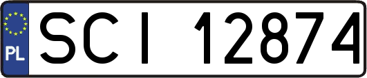 SCI12874